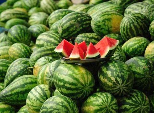 康县网红吃瓜二拼事件,网络热议背后的真相与反思